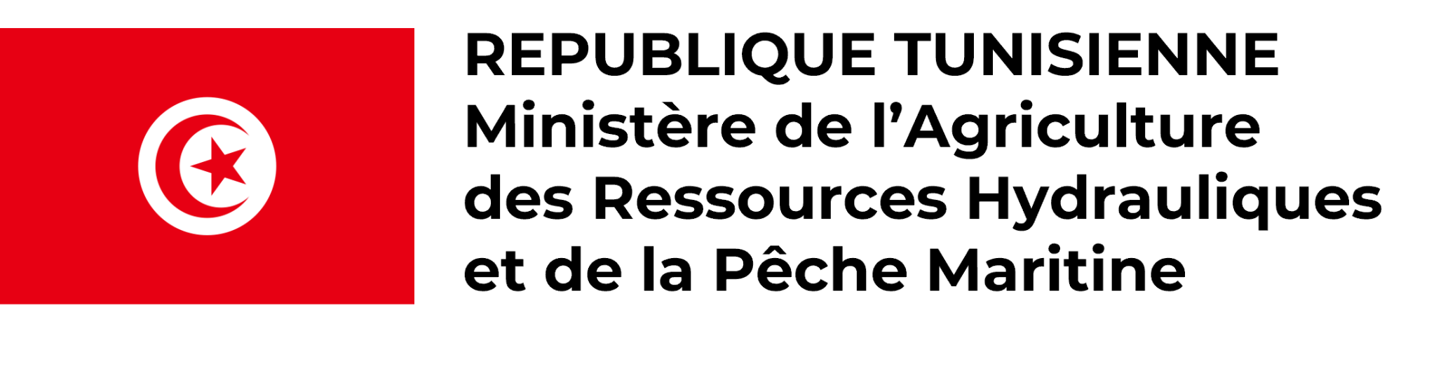 Image2