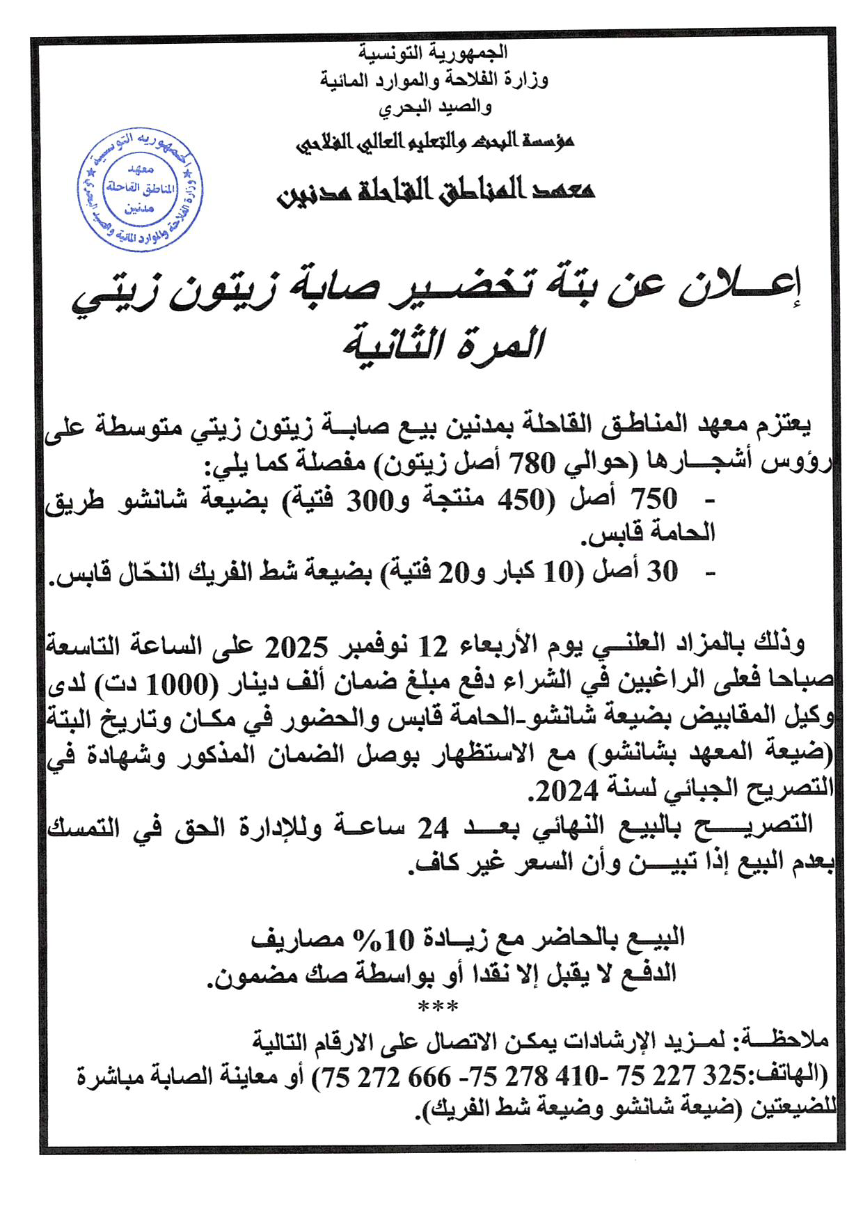 إعلان عن بتة تحضيرية صابة زيتون زيتي المرة الثانية
